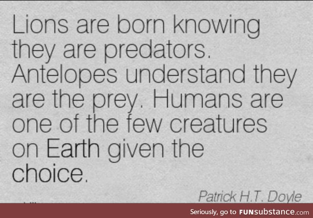Interesting perspective