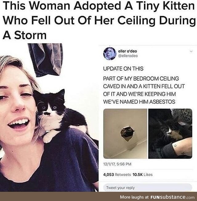 This woman adopted a tiny kitten who fell out of her ceiling during a storm