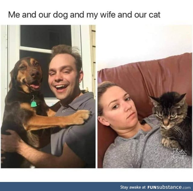 Pets do understand