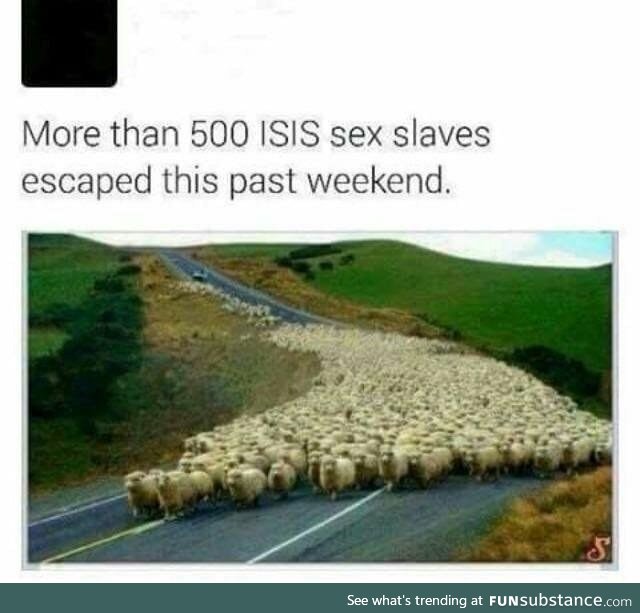 The end of terrorism is near