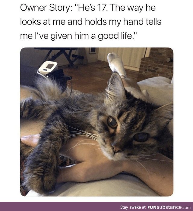 Trust