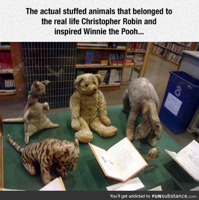 Winnie the pooh