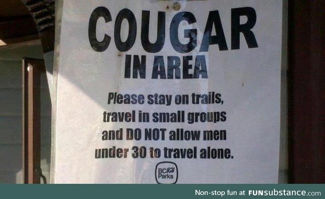 Cougar in Area