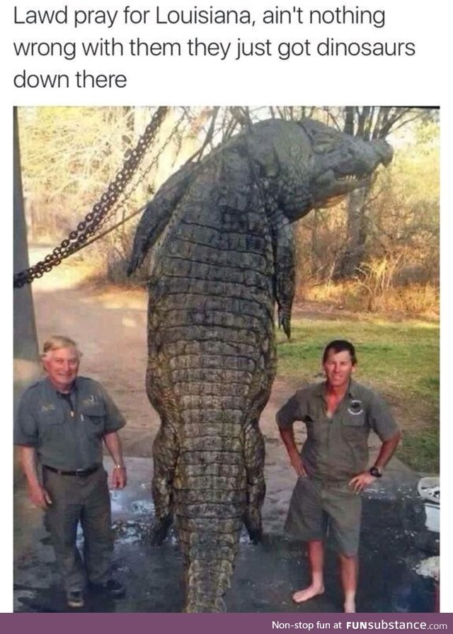 Dinosaurs found in Louisiana