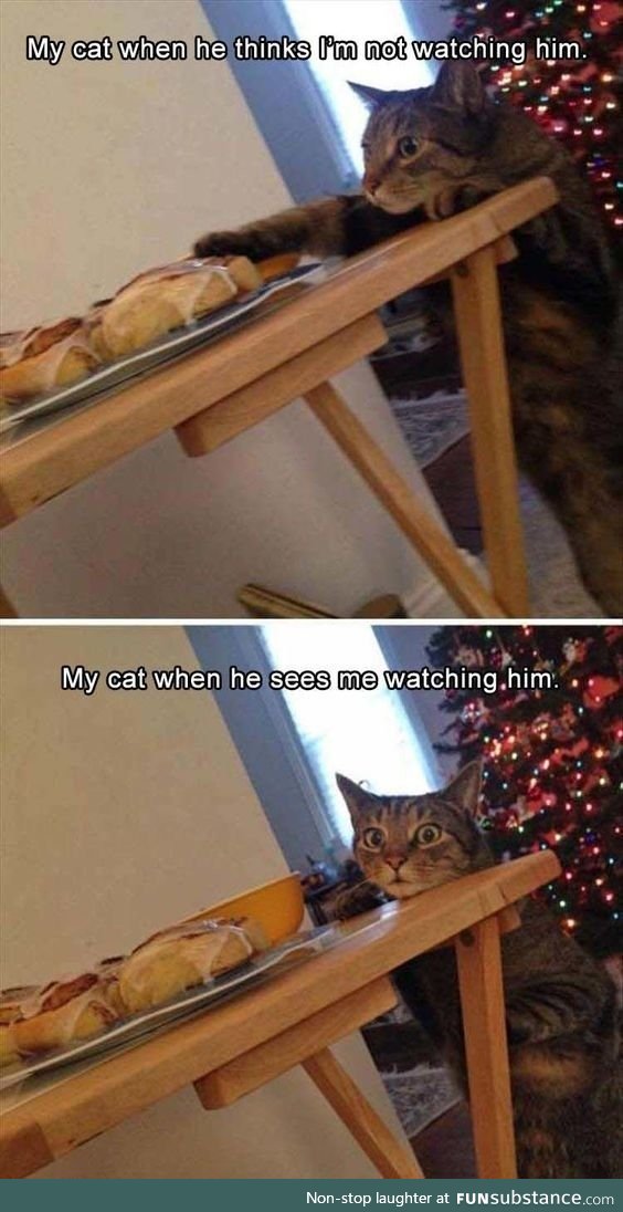 Frightened！