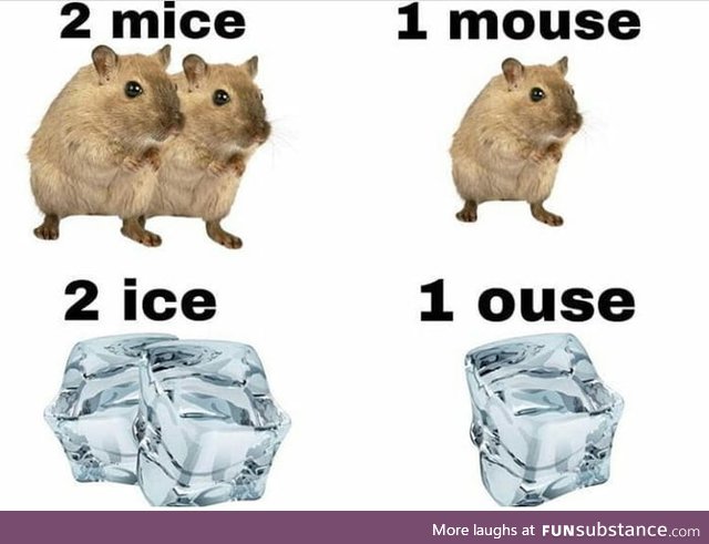 Two mice, one mouse, two rice, one rouse