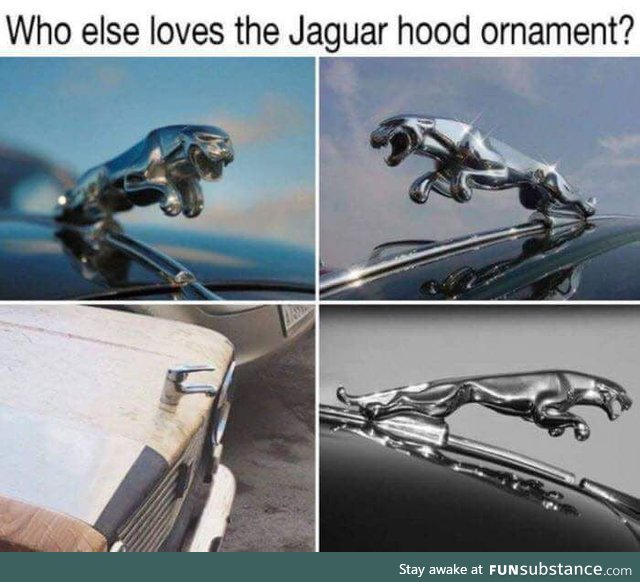 Who else loves Jaguar?