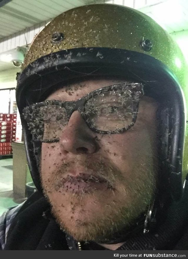 When you hit a cloud of mosquitos without a full face helmet