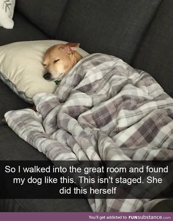 Source: Dude trust me
