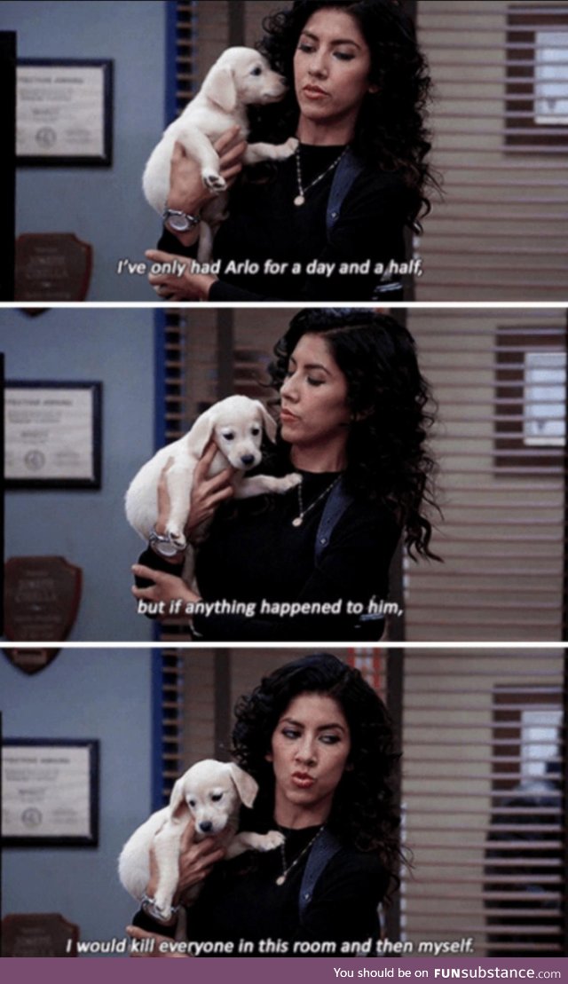 How to properly love a dog