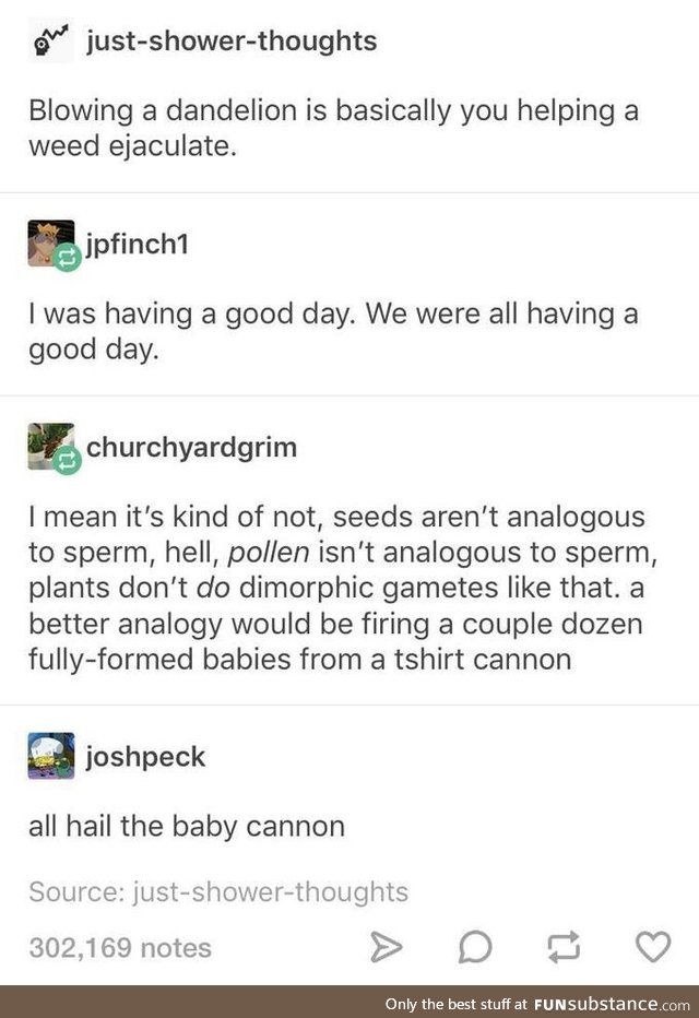 All hail the baby cannon