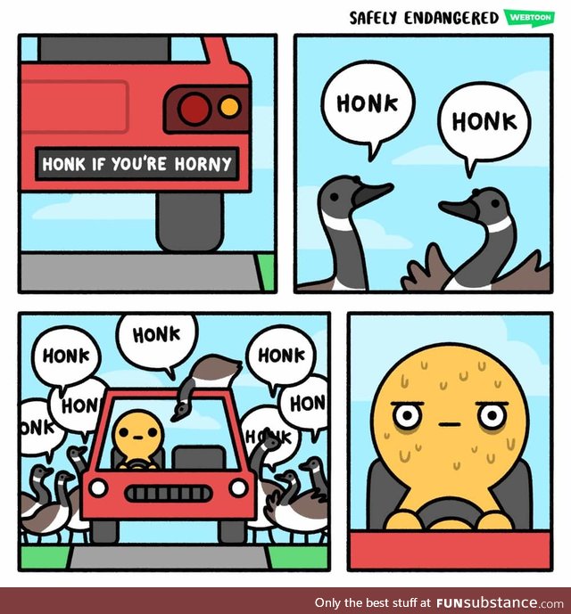 Honk