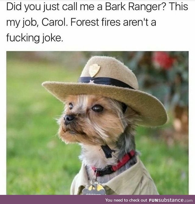 Bark Ranger