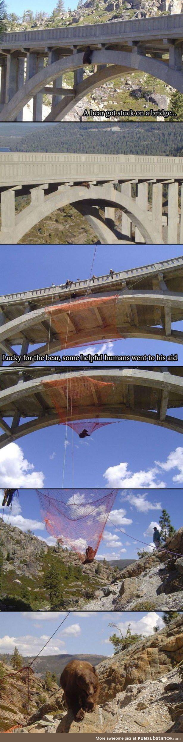 A bear got stuck on a bridge