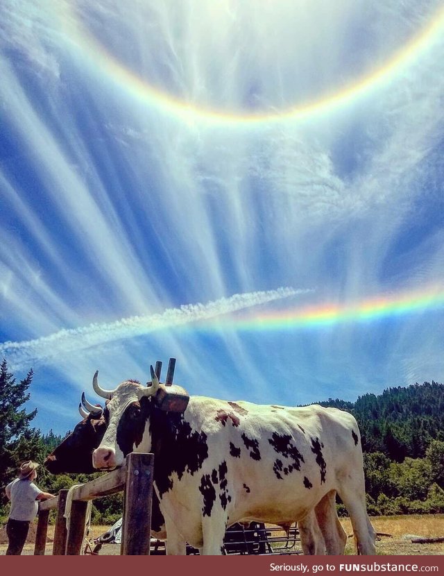 Double Sunbow in Beautiful Northern California