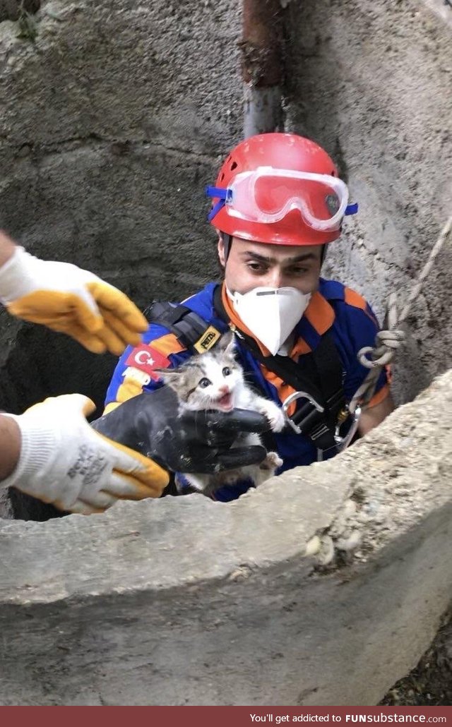 A kitten being rescued from an 15 meters deep well