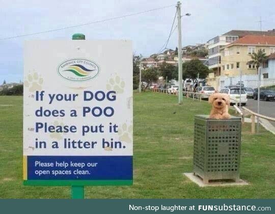 Instructions unclear
