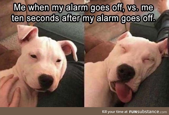 Every morning