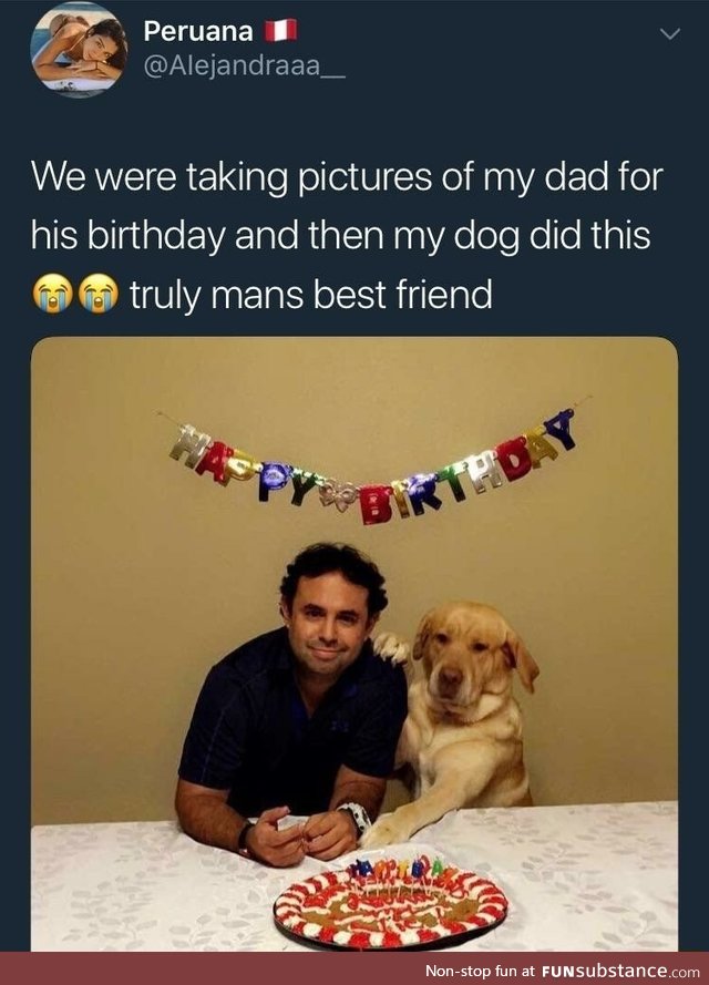 I'm your buddy