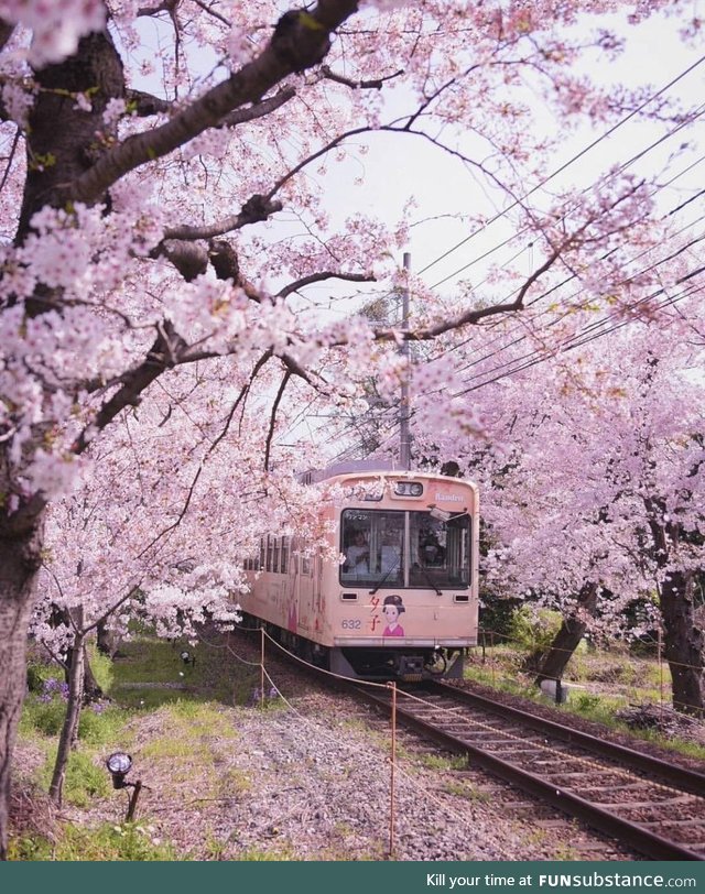 Train in Kyoto, Japan