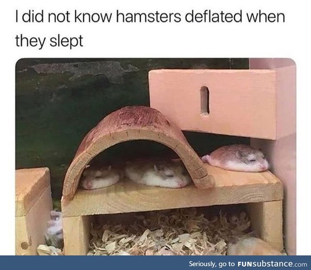 Actually they are melting like butter