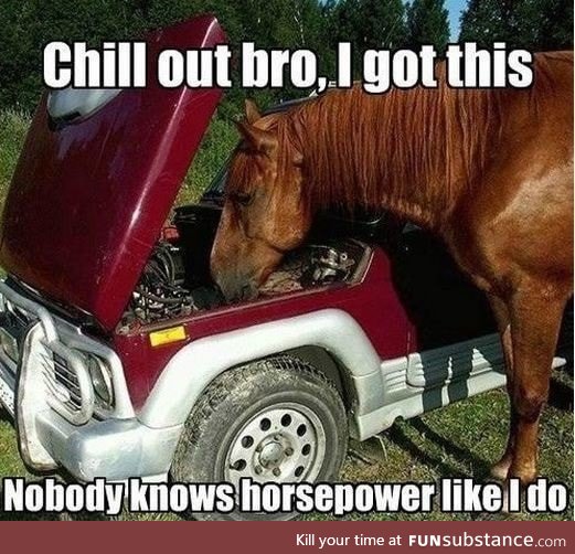 Checking the horsepower