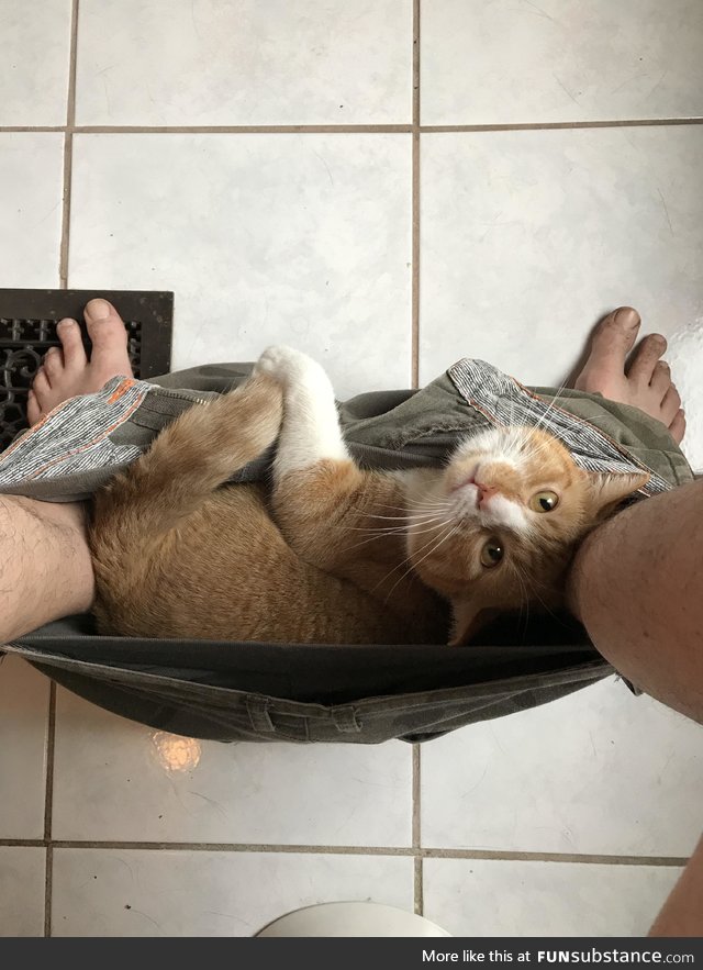 "oh, don't worry.. i just chill here!"