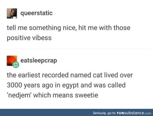 Nice
