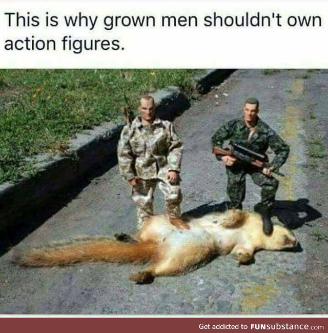 Big squirrel