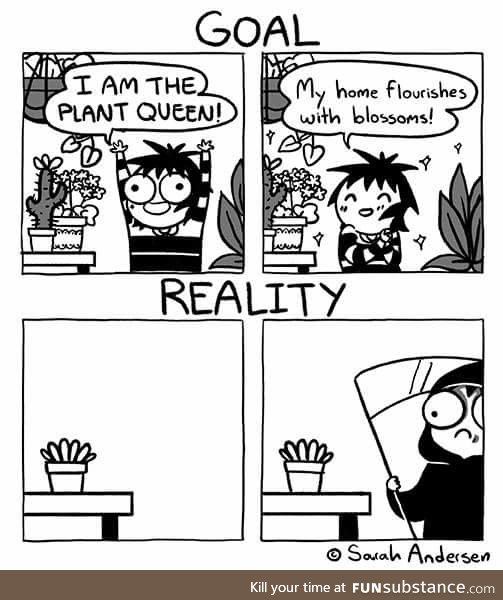 Plants