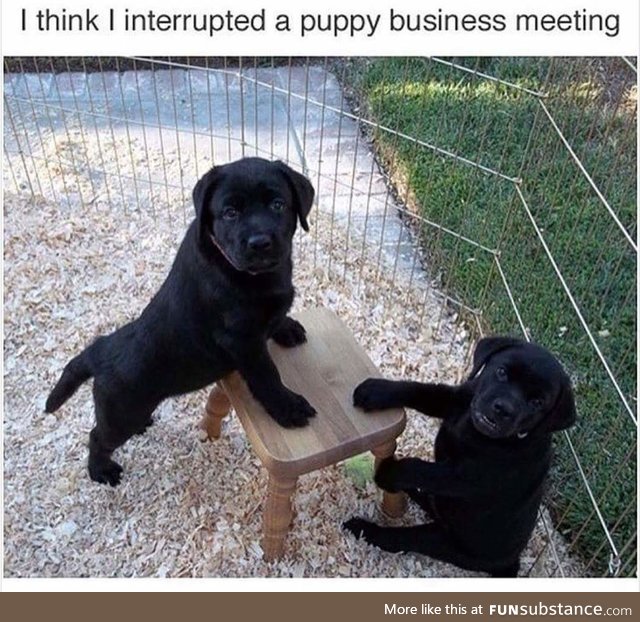 You're hired