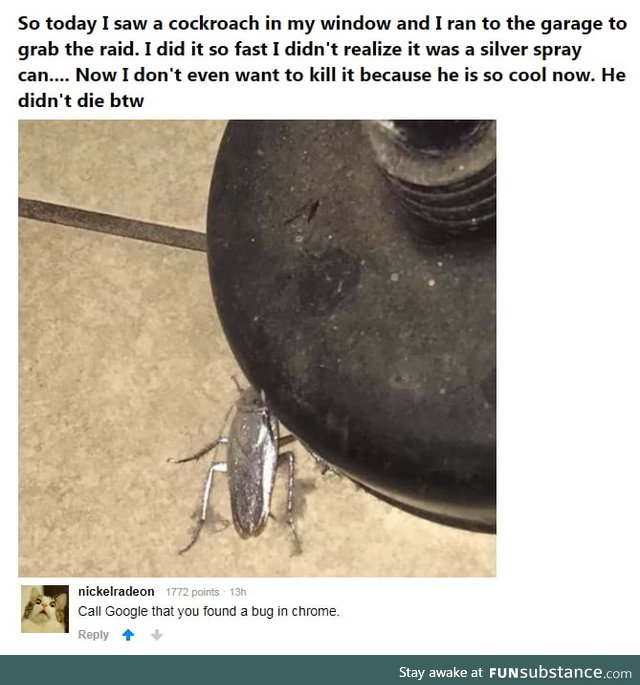 This guy!