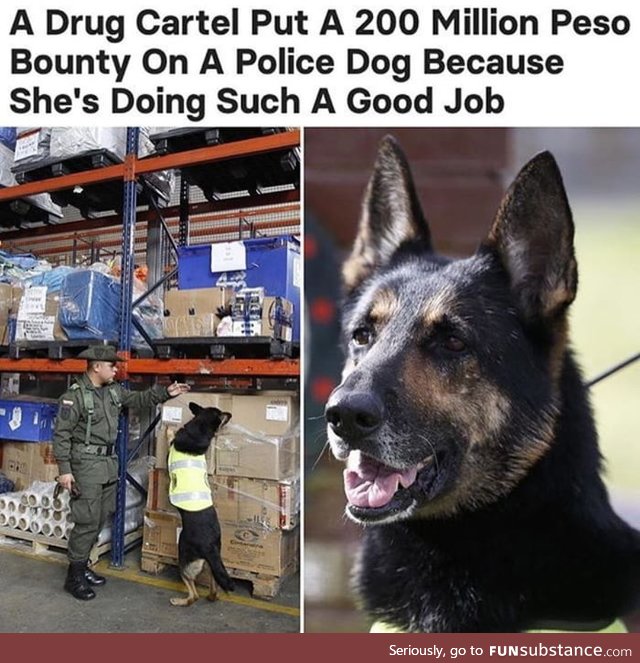 She detecc we must protecc