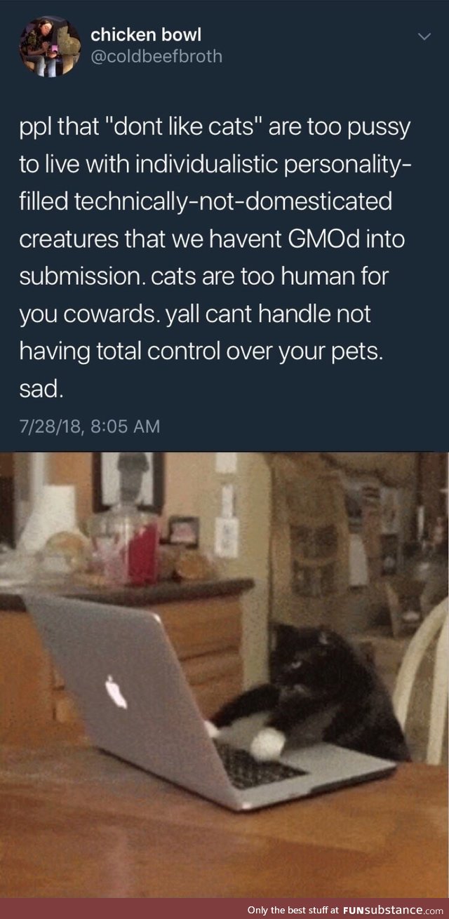 Cat said this