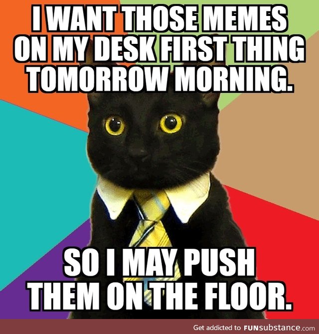 Is business cat back in business?!