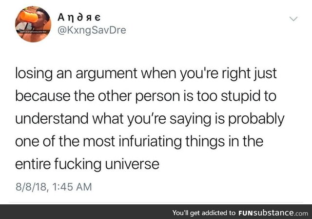 When arguing with an idiot, no one wins