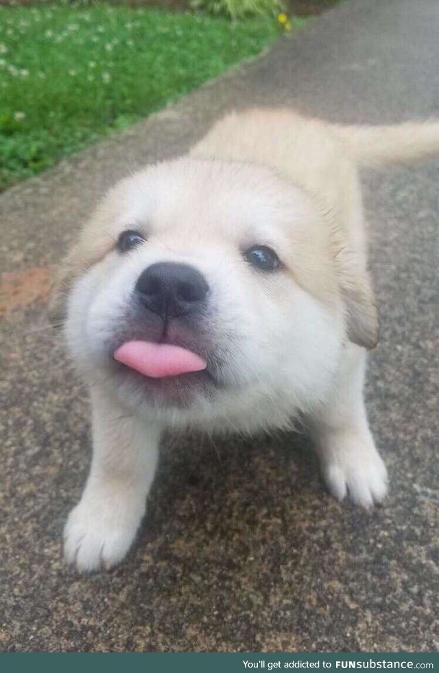 ":p.."