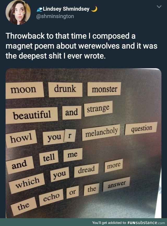 Fridge poem