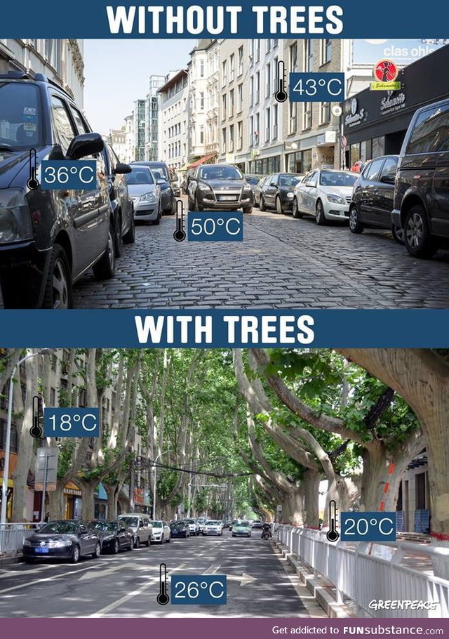 Lets go greener !