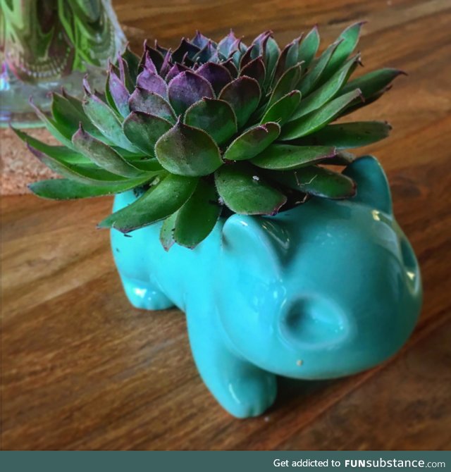 The Bulbasaur succulent planter