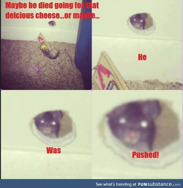 No, you first