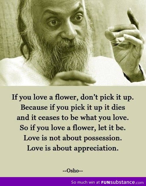 Love explained