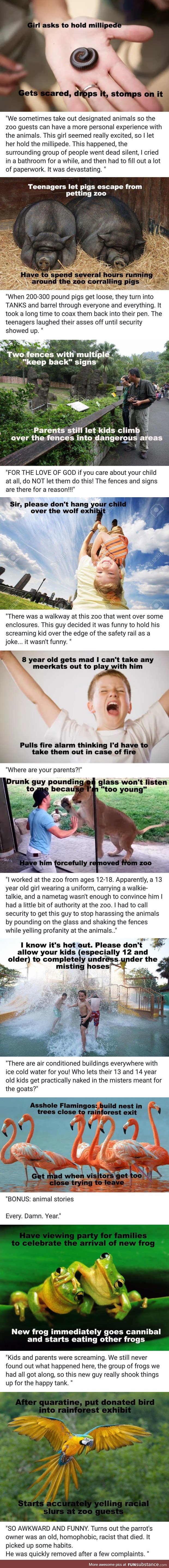 Zoo stories