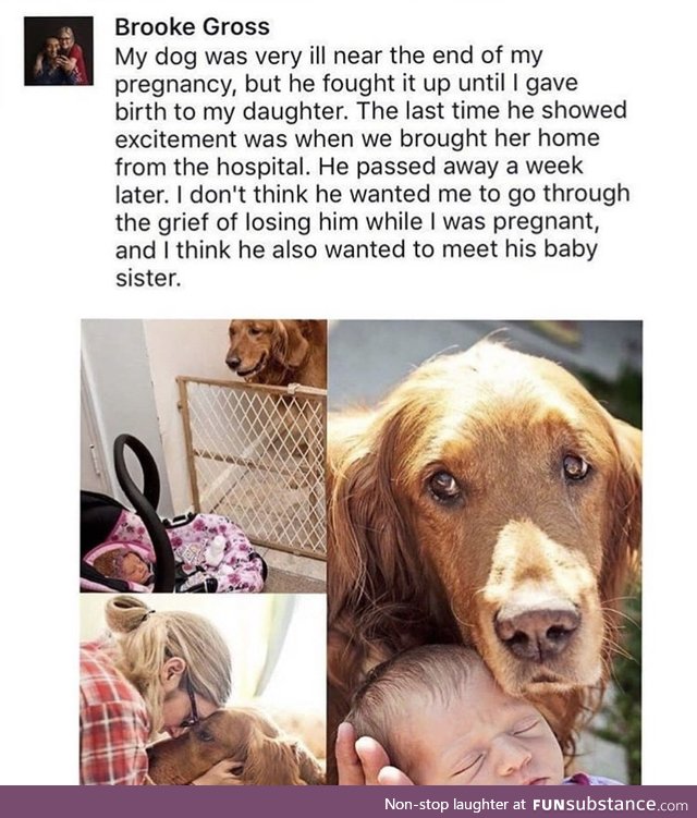 Sweetest story