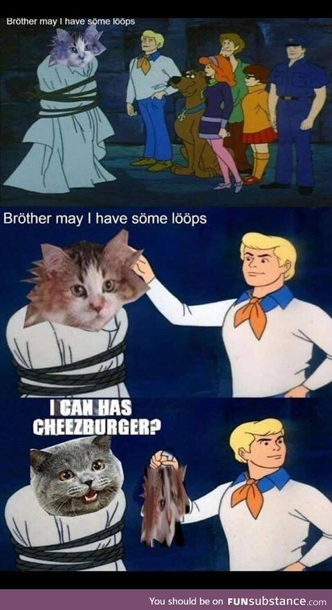 Memes remain the same