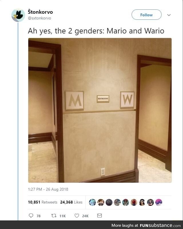 The 2 genders