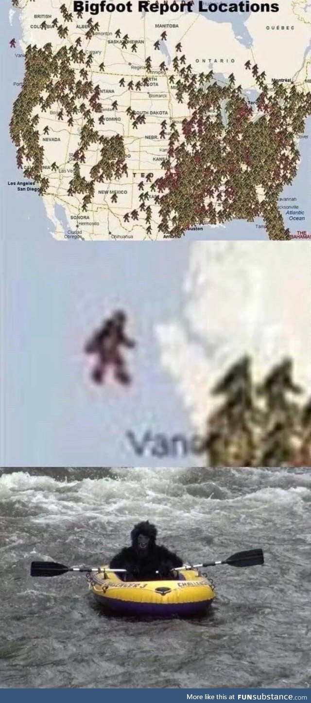 That's got to be the hairiest pirate I've ever seen