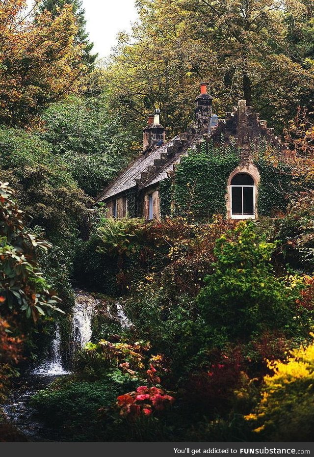 Small cozy cottage surrounded by nature
