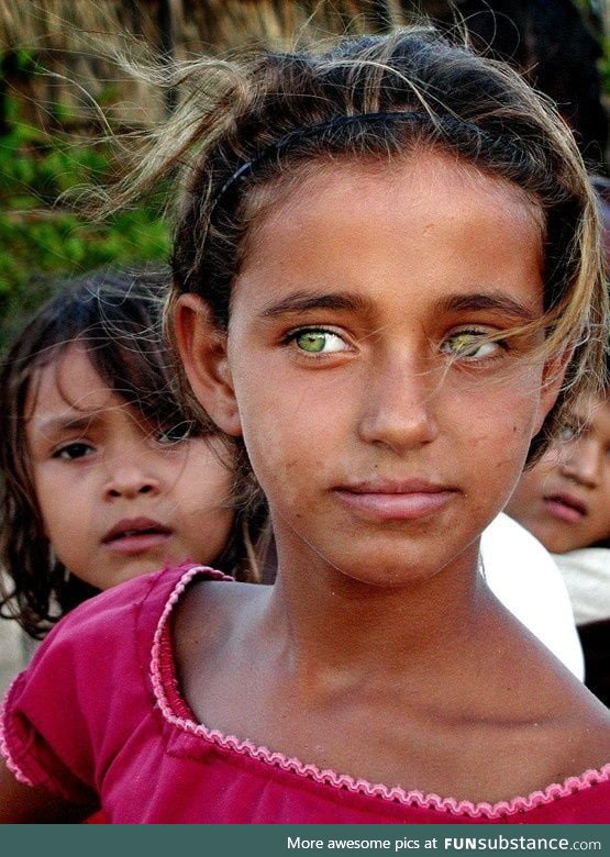 The green eyes of the Afghans