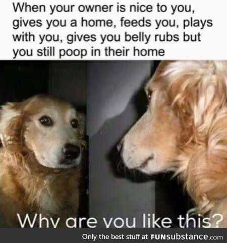 Please pupper, do the do do outside
